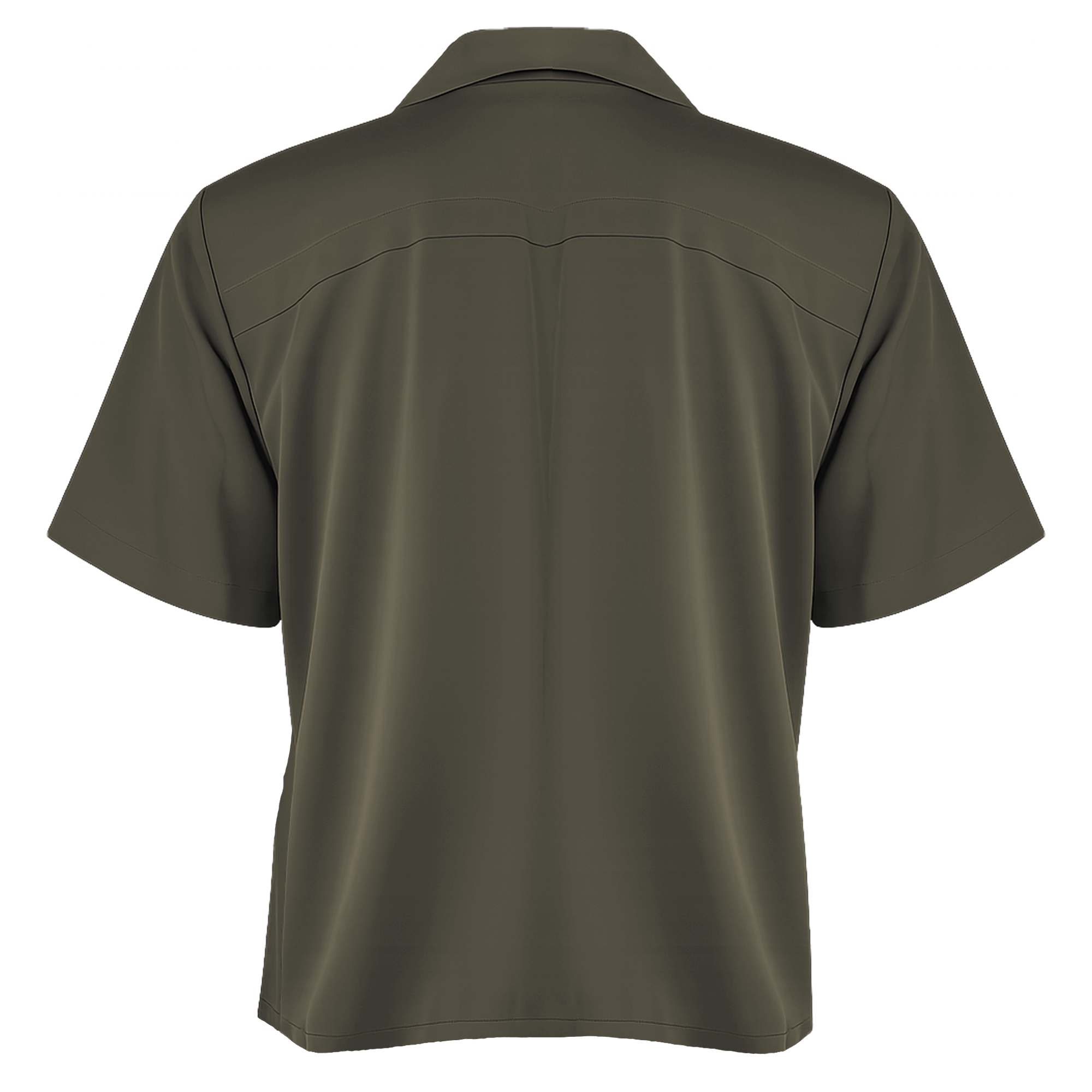 Green shirt on a white background