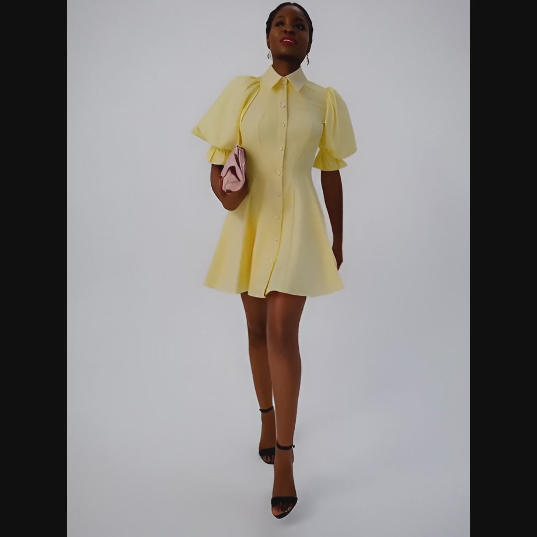 July Flared Cotton Mini Dress