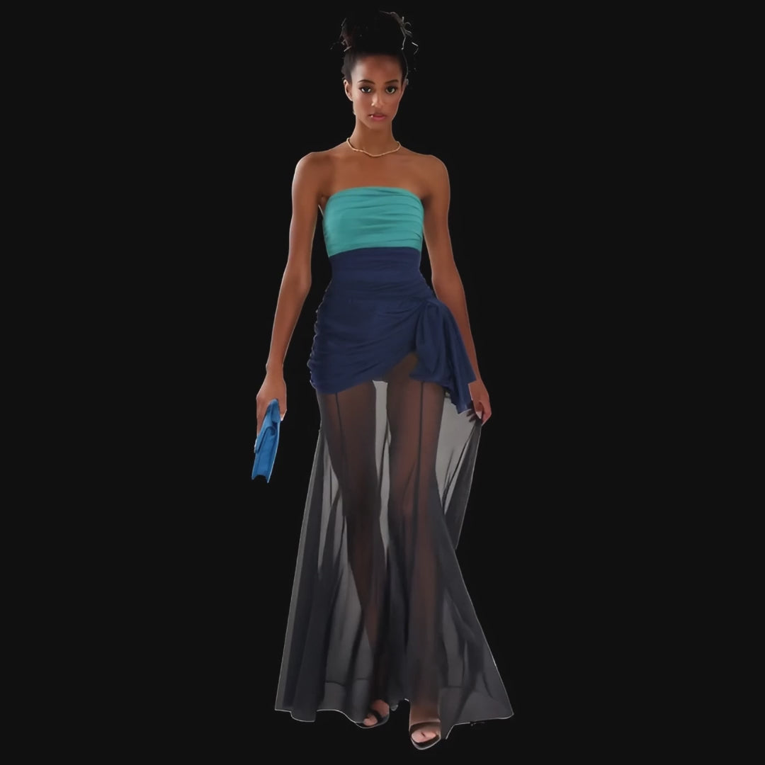 Dalia Silk and Tulle Dress