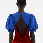 Back view of a person wearing a blue top and red dress with a white background